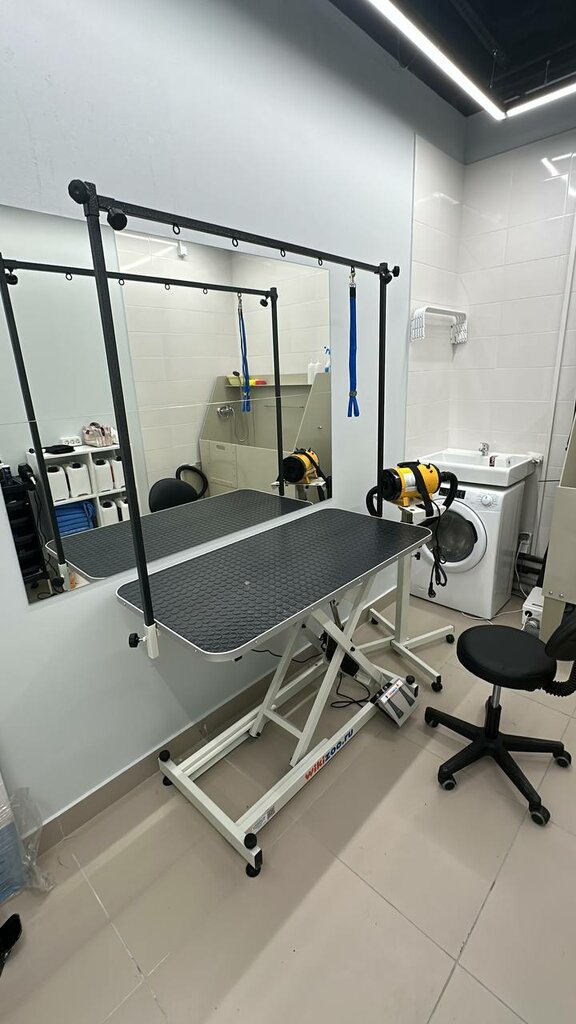 Зоосалон, зоопарикмахерская Четыре Лапы Груминг, Москва, фото