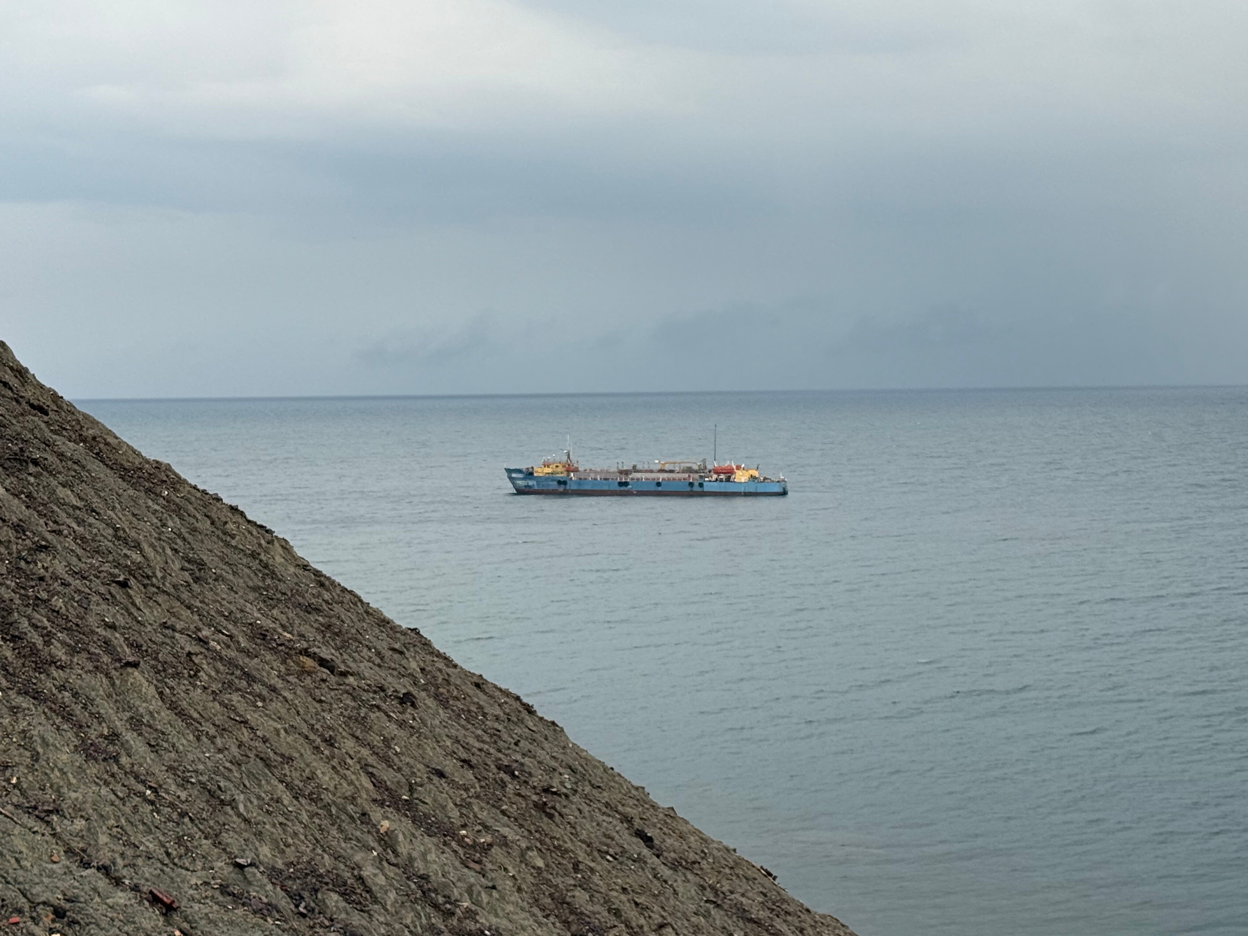 Фото Белый лебедь