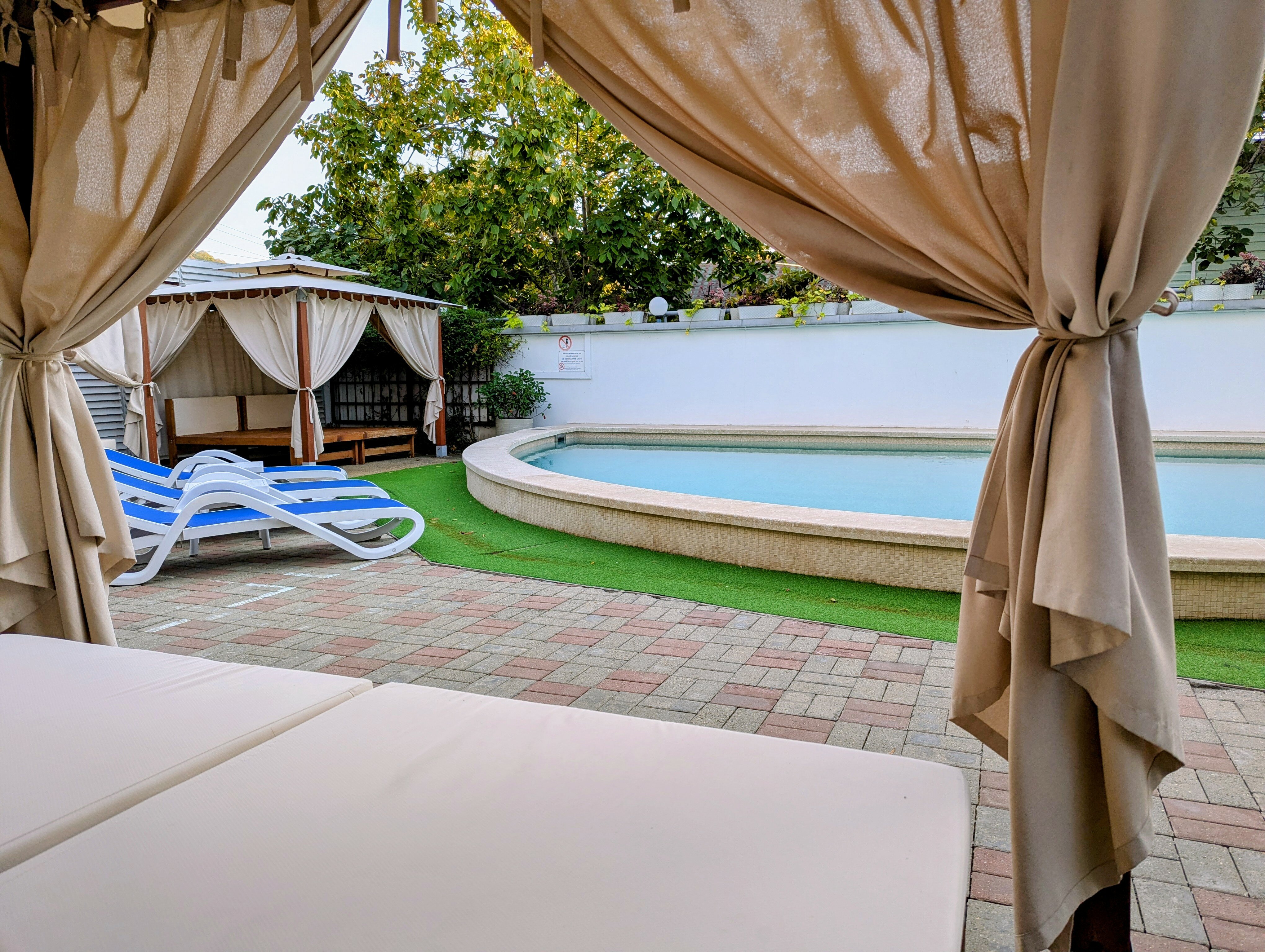 Фото Роза Ветров