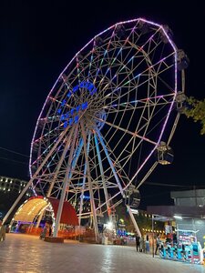 Altyn Eye Ferris Wheel (Shymkent, Abay District), amusement ride