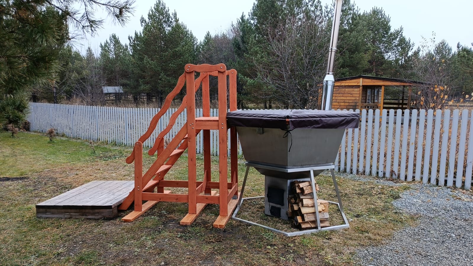 Фото Черника