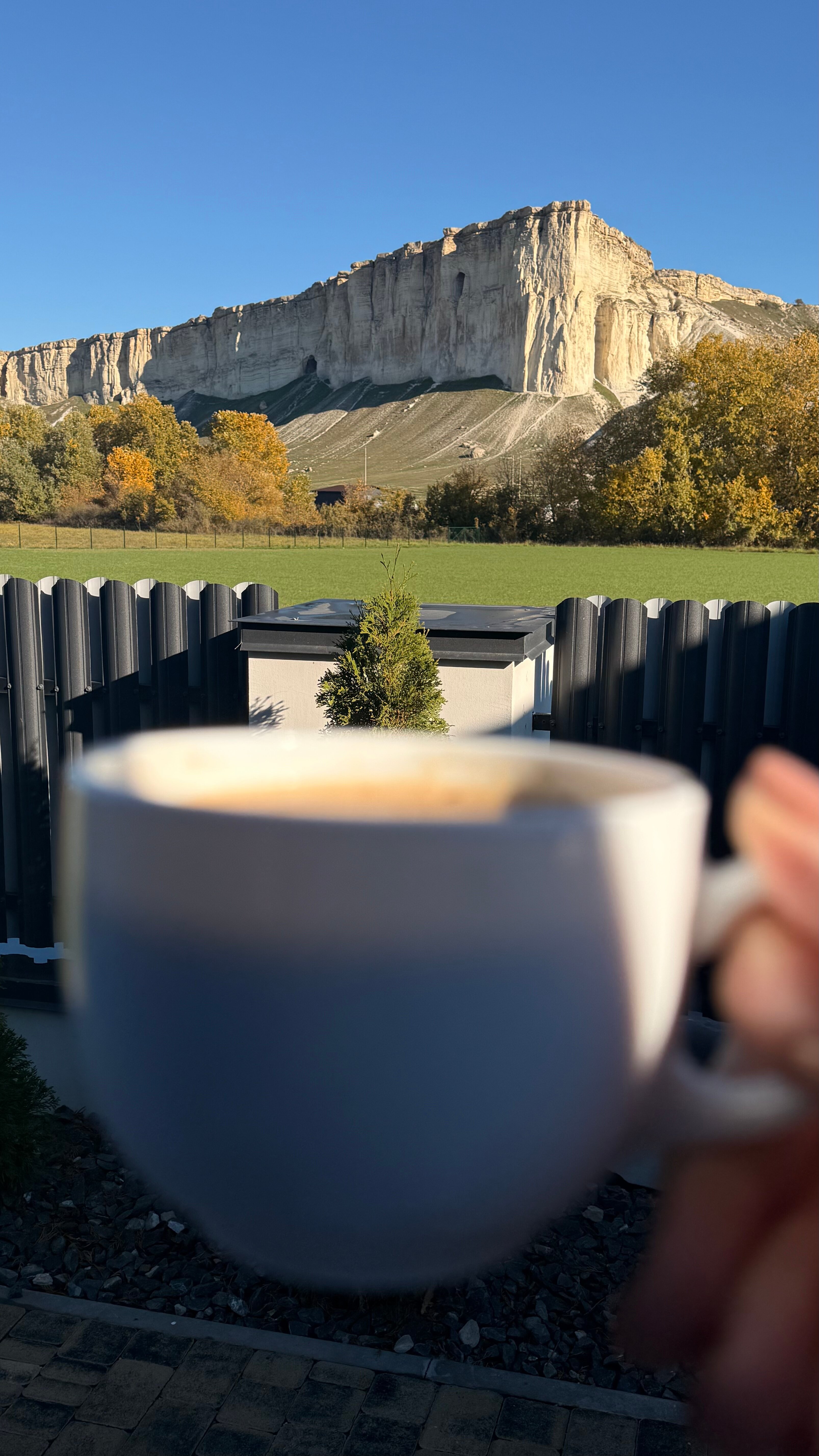 Фото Шелест