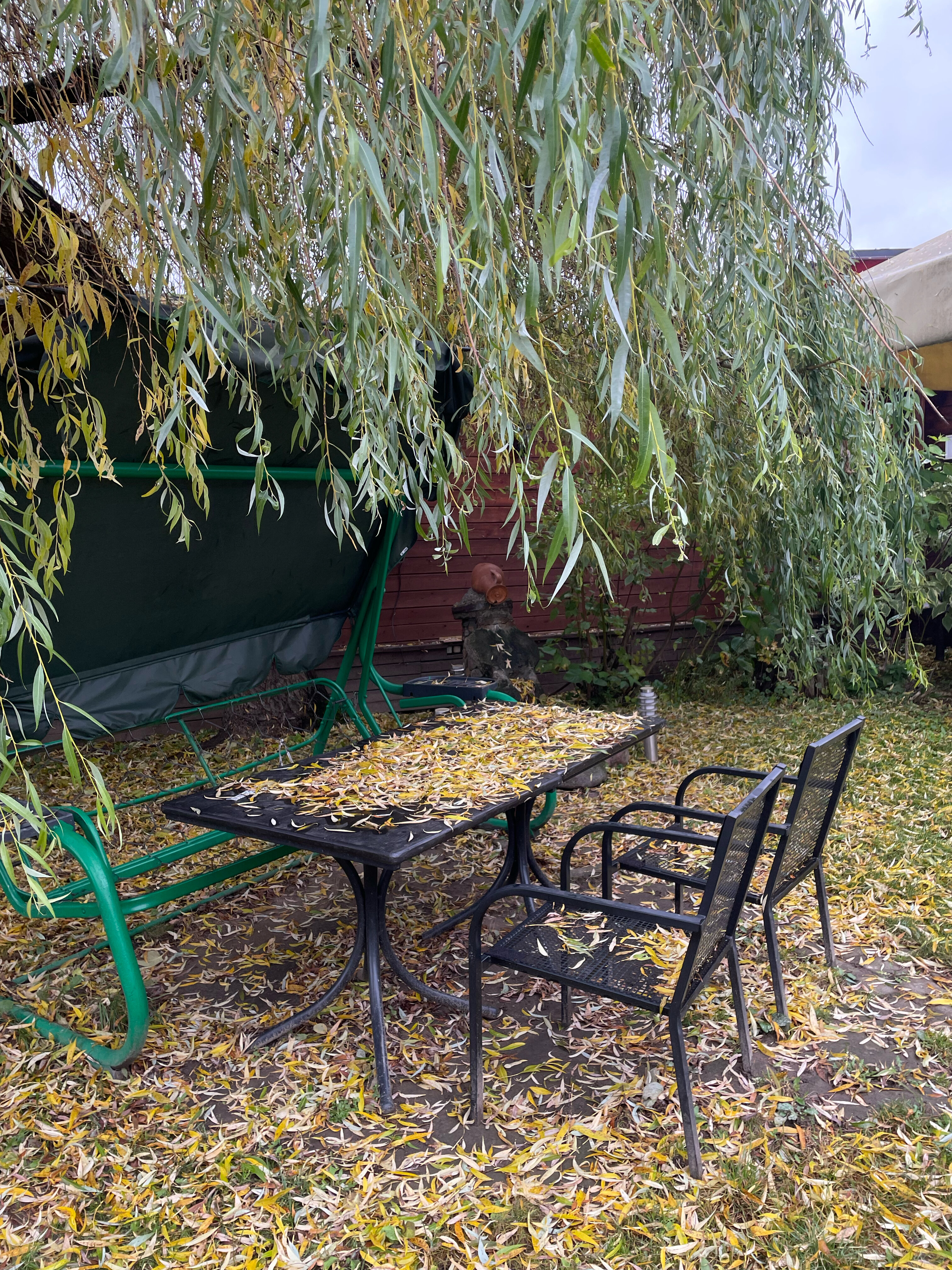 Фото Маёнтак Птичь