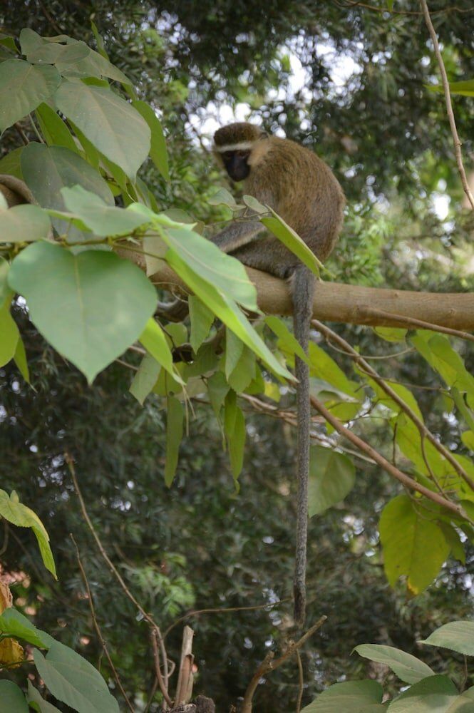 Фото Colonial Residence