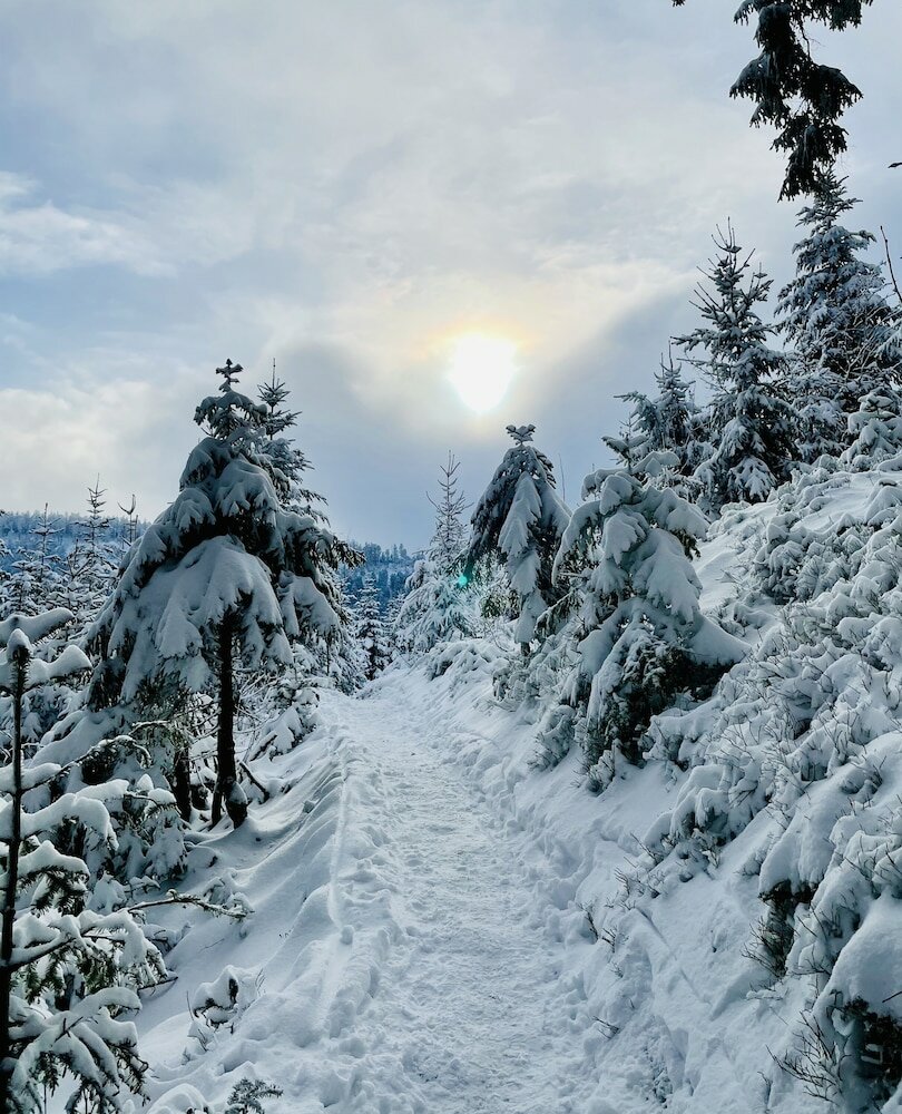 Фото Hotel Kull von Schmidsfelden