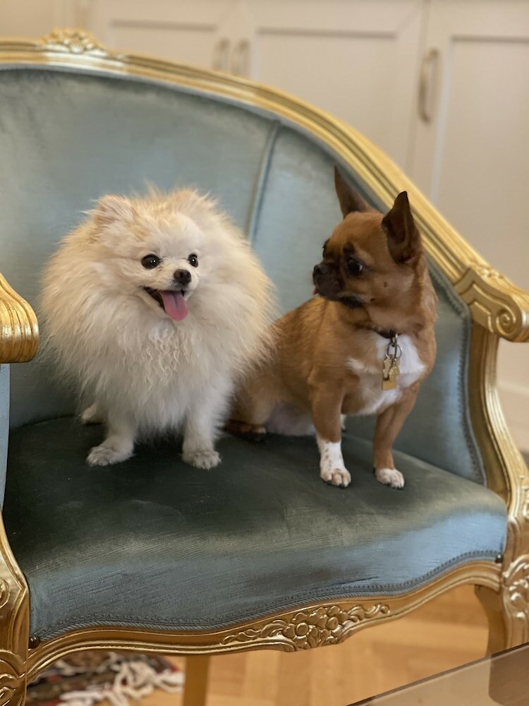 Фото Palazzo Monga Boutique Guesthouse