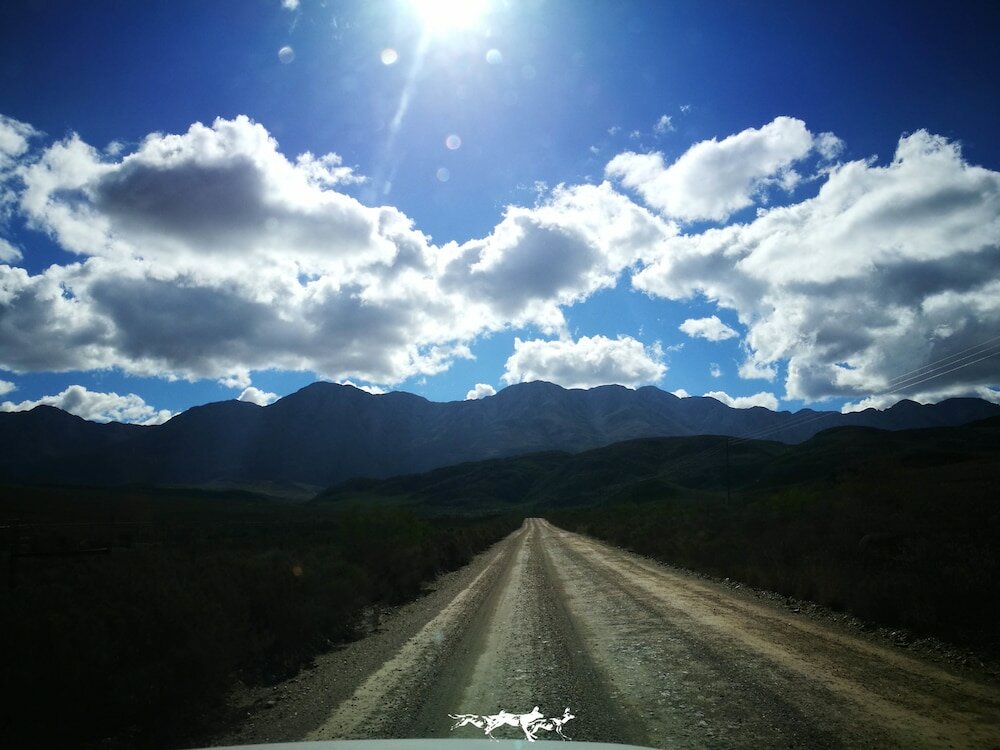 Фото Wildehondekloof