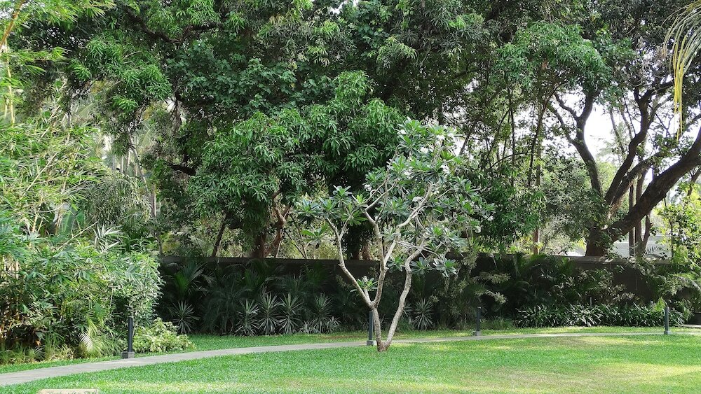 Фото Andores Resort And SPA