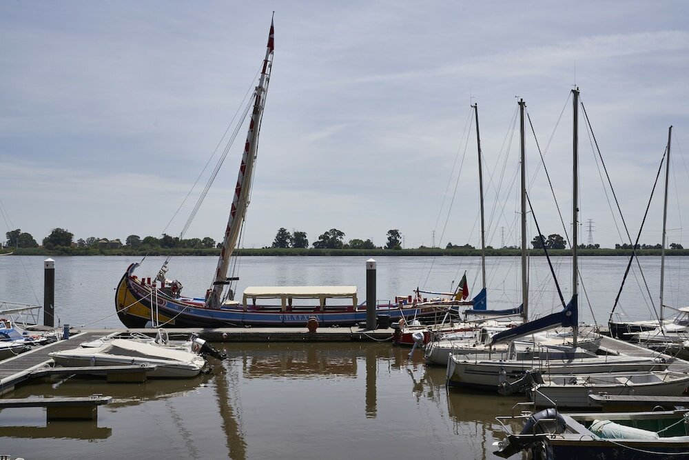 Фото Lezíria Parque Hotel