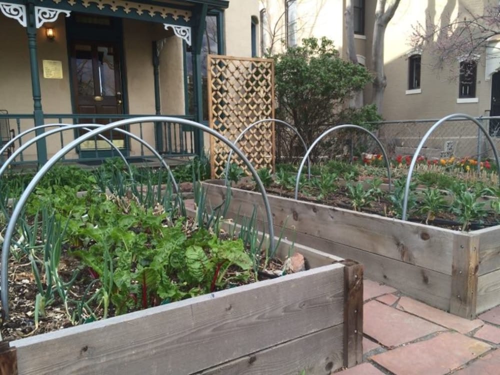 Фото Queen Anne Bed And Breakfast