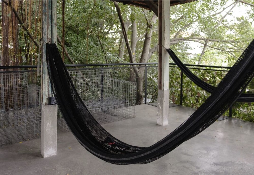 Фото Belakang Kong Heng by DreamScape