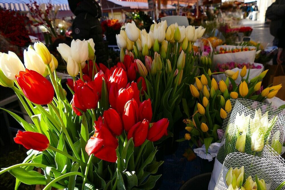 Фото Hotel Les Cigales