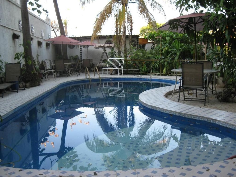 Фото Pacot Breeze