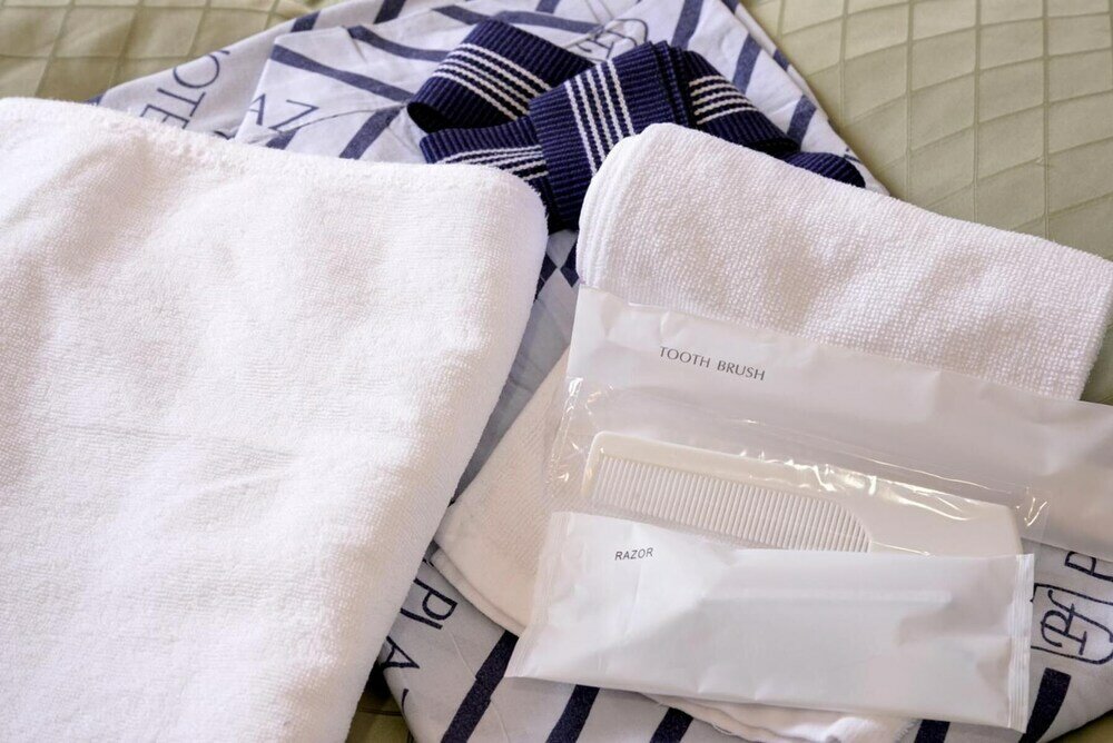 Фото Plaza Hotel Fujinoi