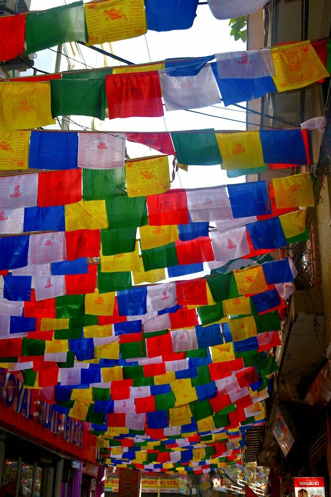 Фото Festoon Hotel