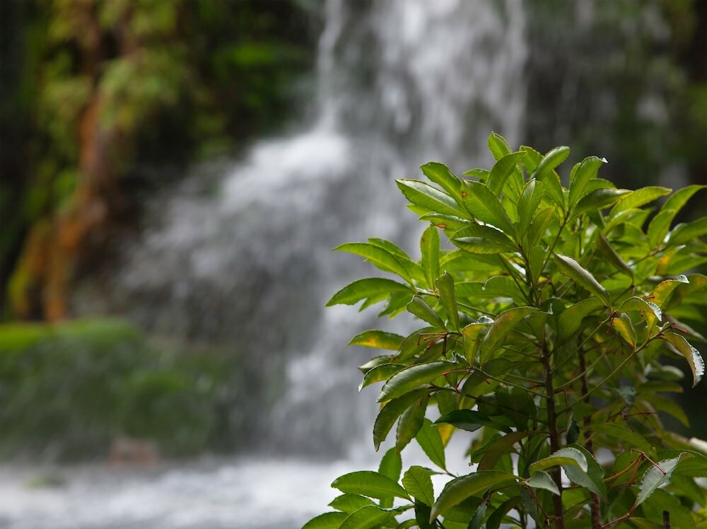 Фото Nara Royal Hotel