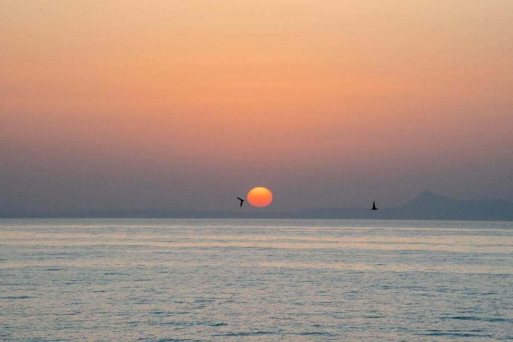 Фото Thalassi Hotel