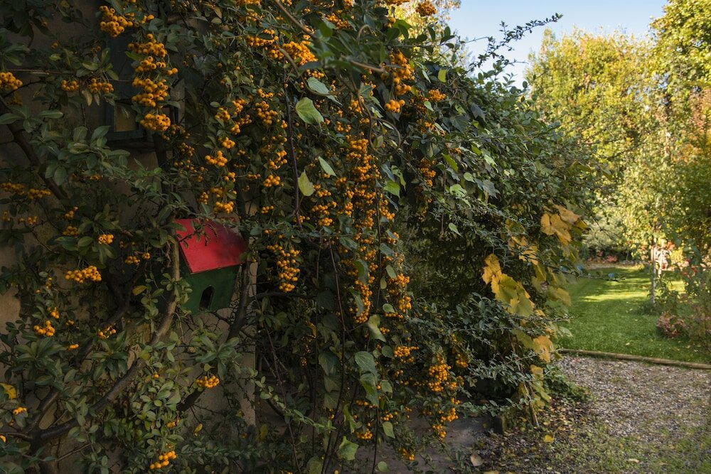 Фото Al Porto di Lucca B&b