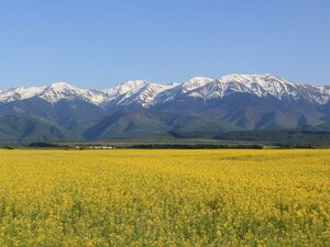 Гостиница Best Western Silva Hotel