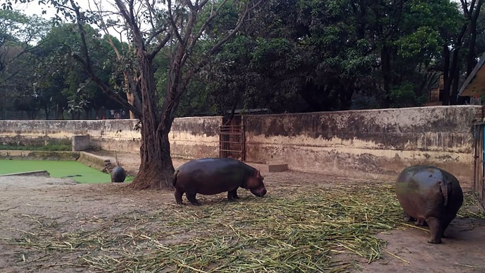Фото White Palace Hotel