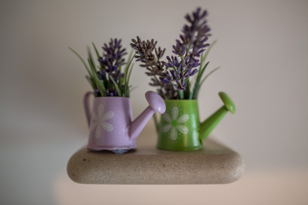 Фото Garden Apartment Hotel