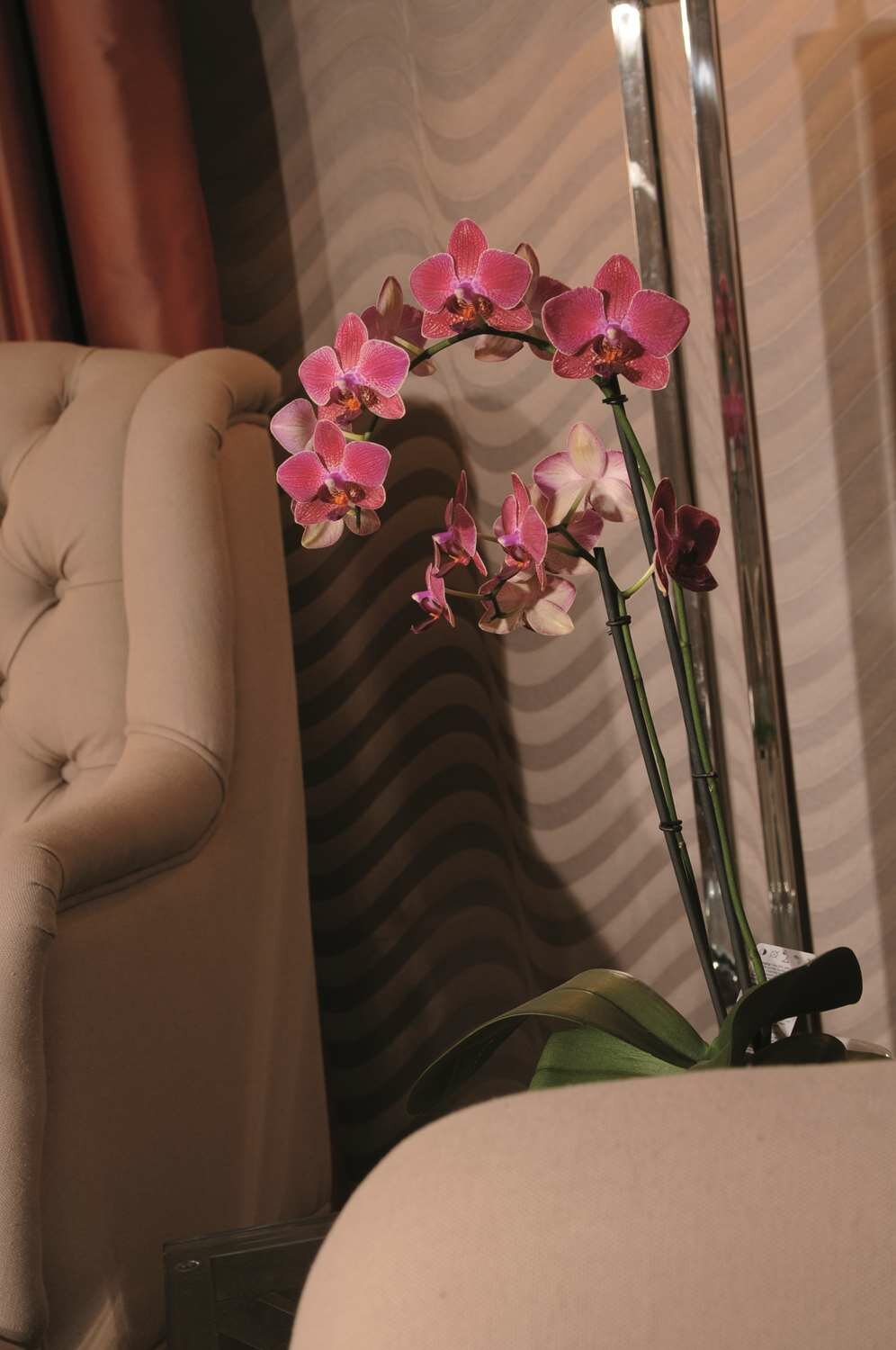 Фото Best Western Plus Hotel StadtPalais