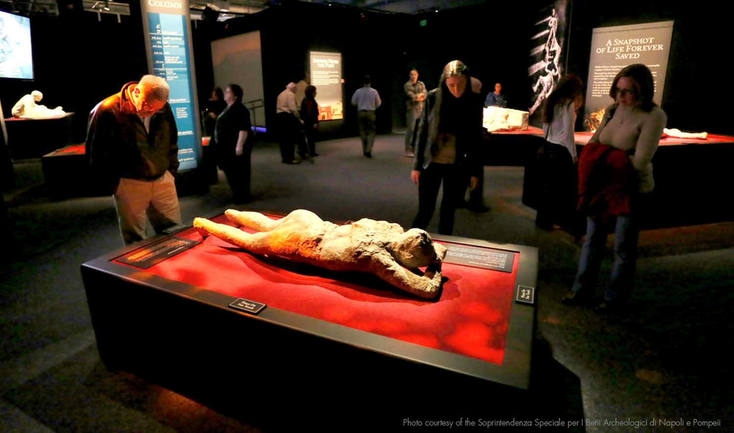 Фото Hilton Los Angeles/Universal City