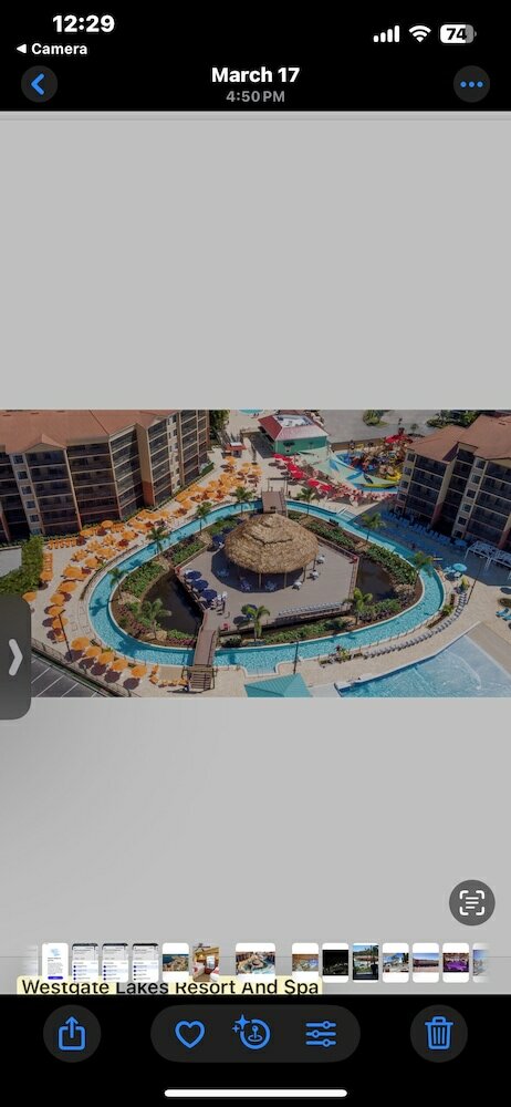 Фото Westgate Vacation Villas Resort