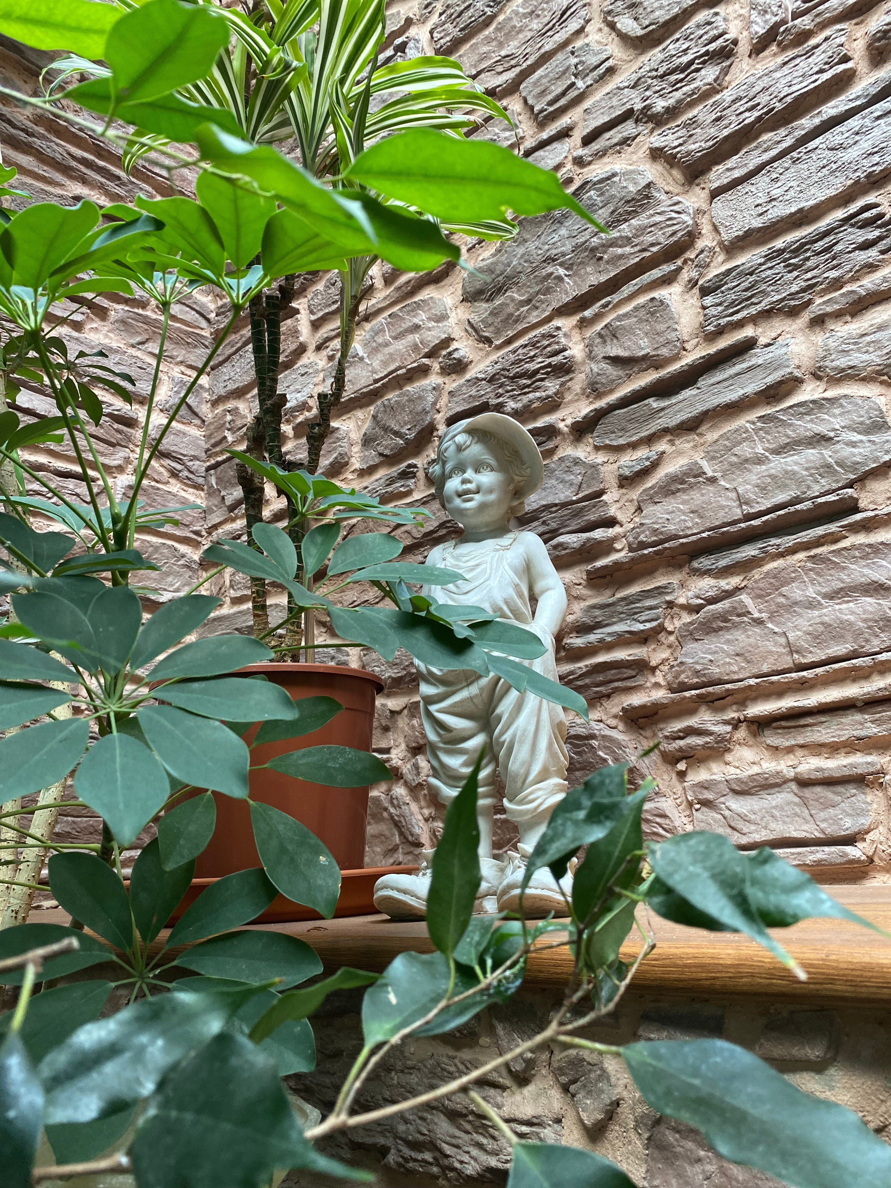 Фото Меркурий