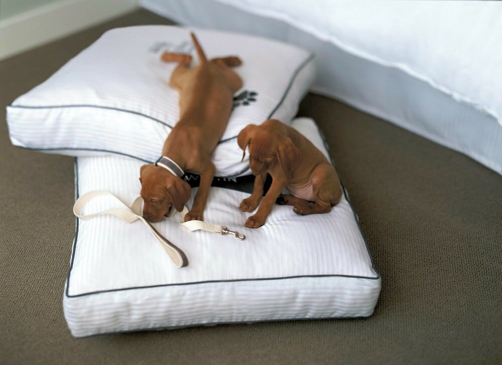 Фото The Westin Wilmington