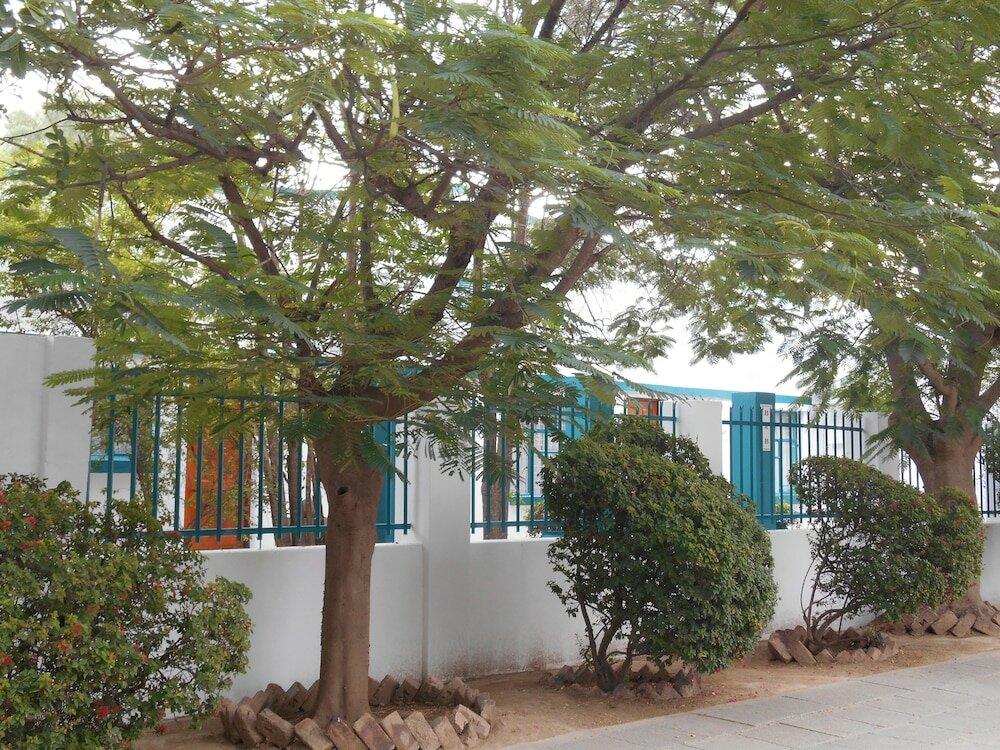 Фото Obesa Lodge