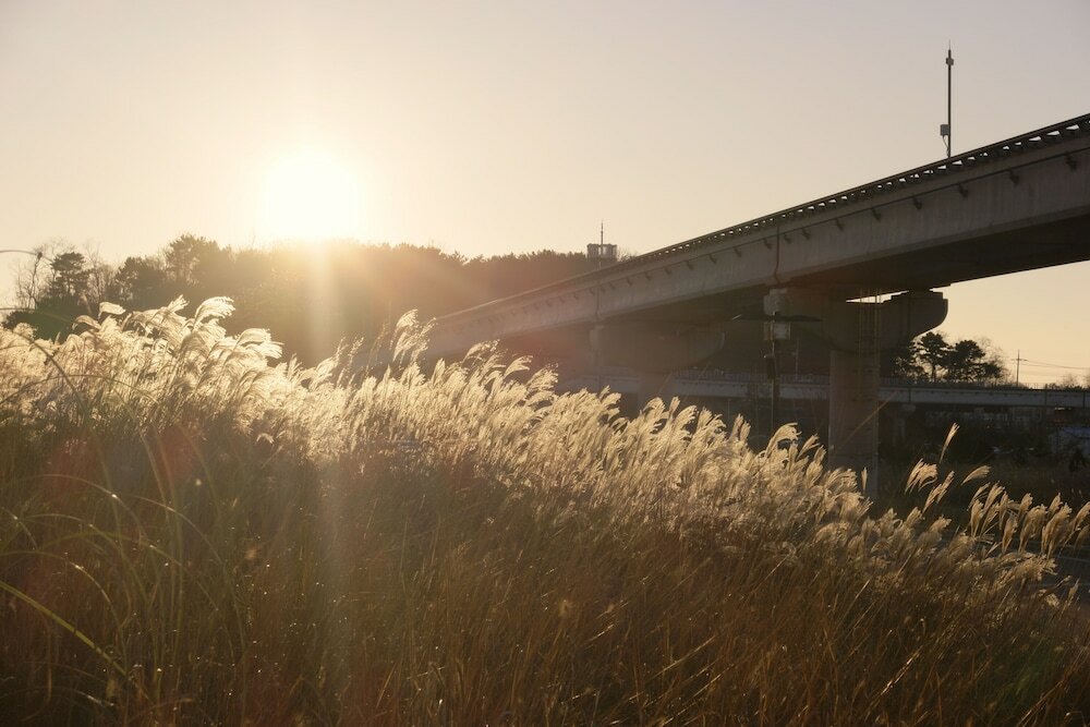 Фото Nest Hotel Incheon