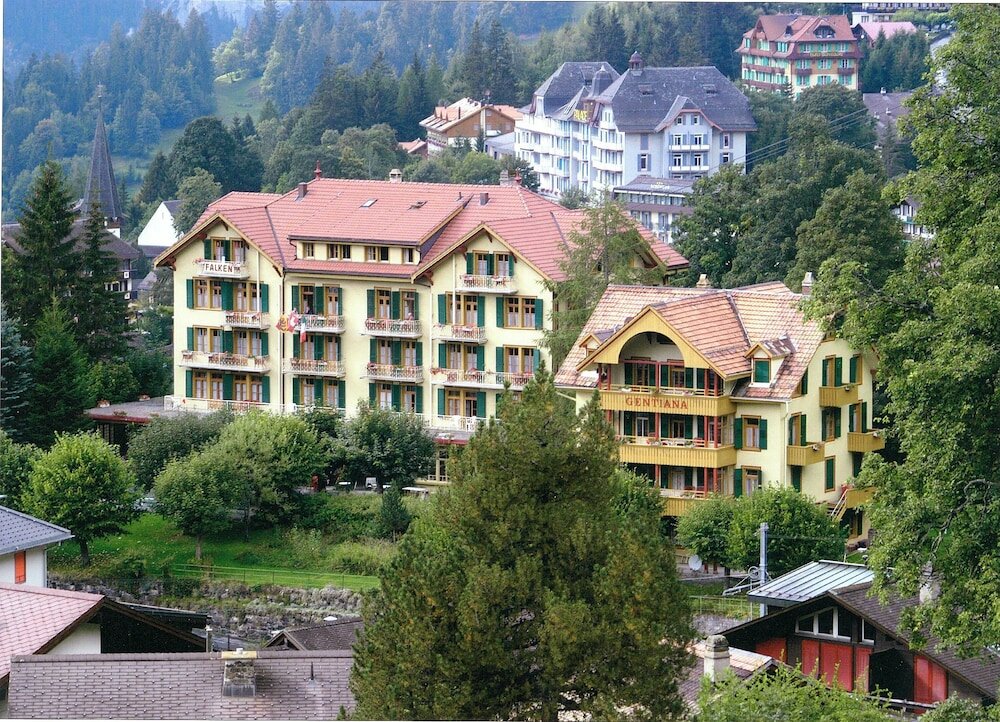 Фото Hotel Falken