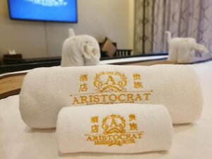 Гостиница Aristocrat Residence & Hotel