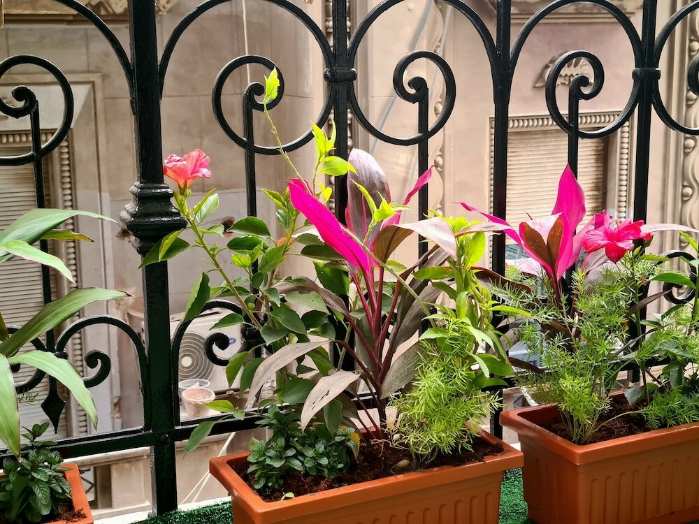 Фото The Australian Hostel