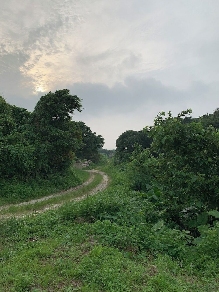 Фото Milk-ya Women-Only Guest House