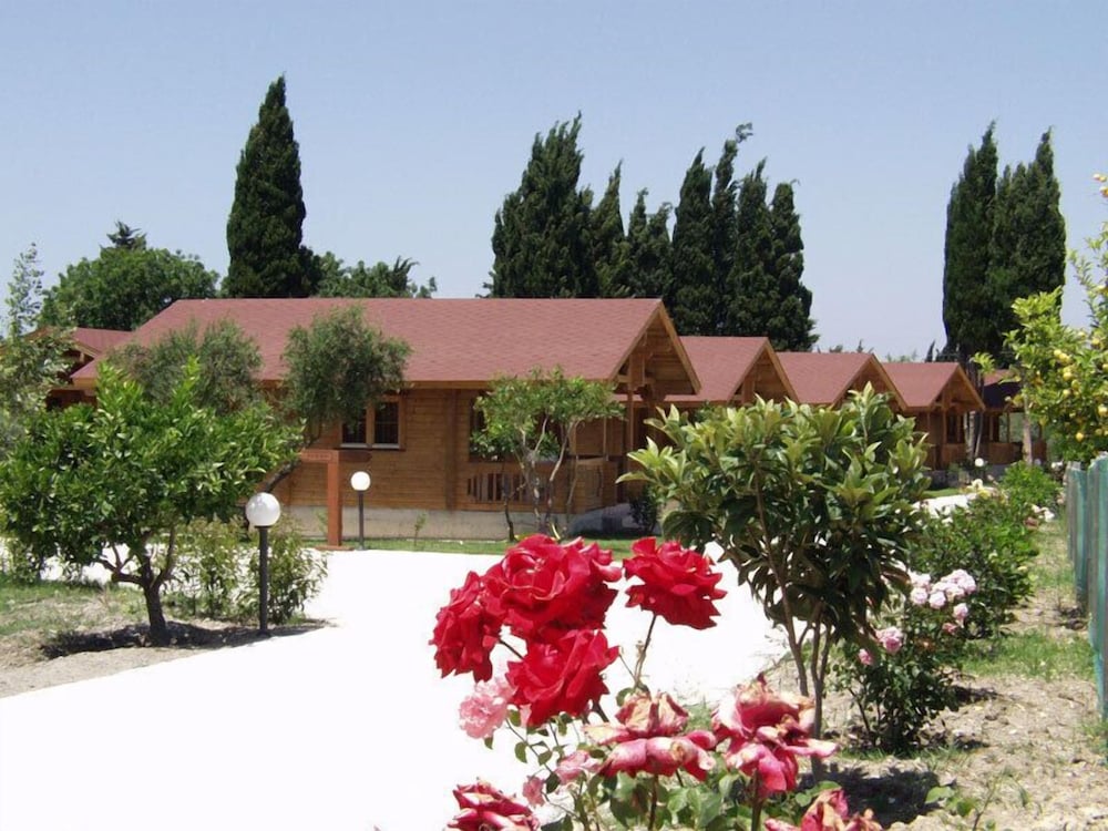 Фото Sandy's Studios Apartments & Log Villas