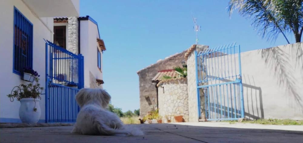 Фото B&b Villa Prisiclla