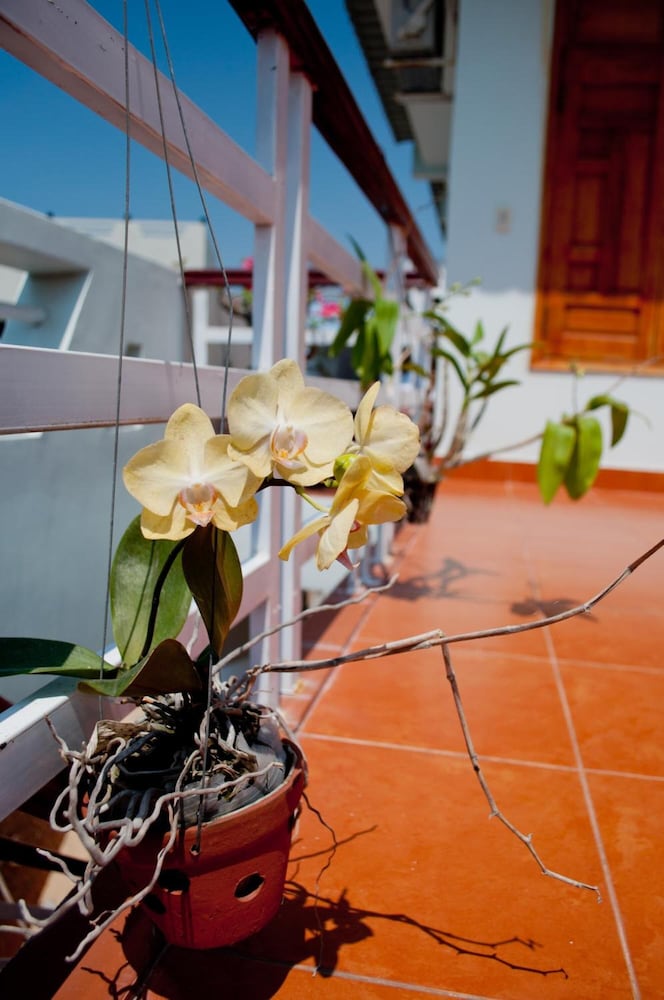 Фото Viet's Hotel