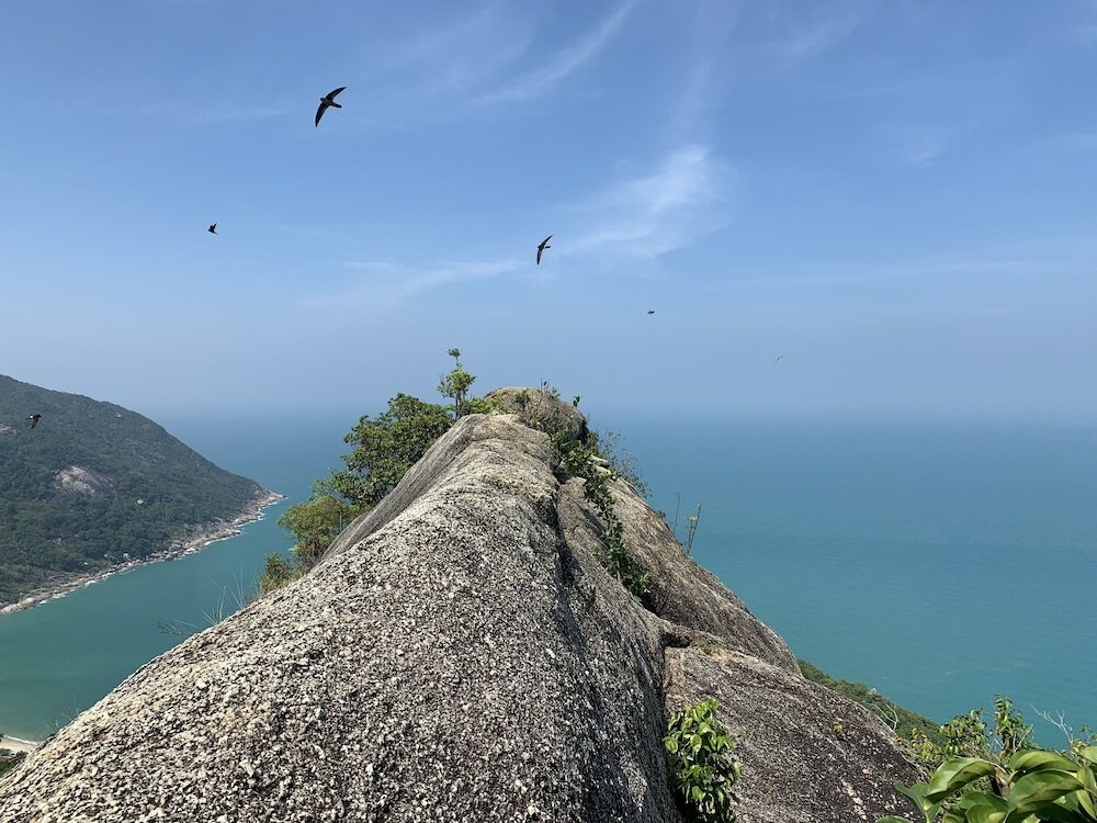 Фото Havana Beach Resort