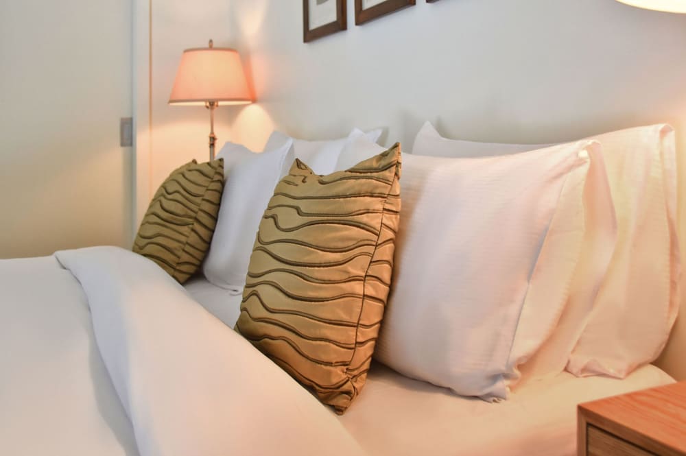 Фото River Birches