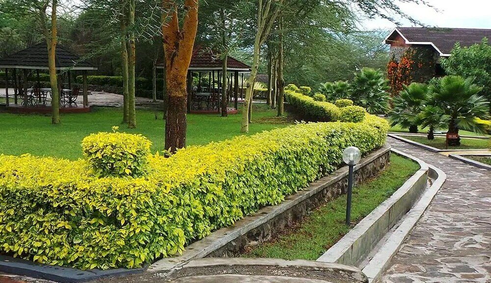 Фото отеля 5