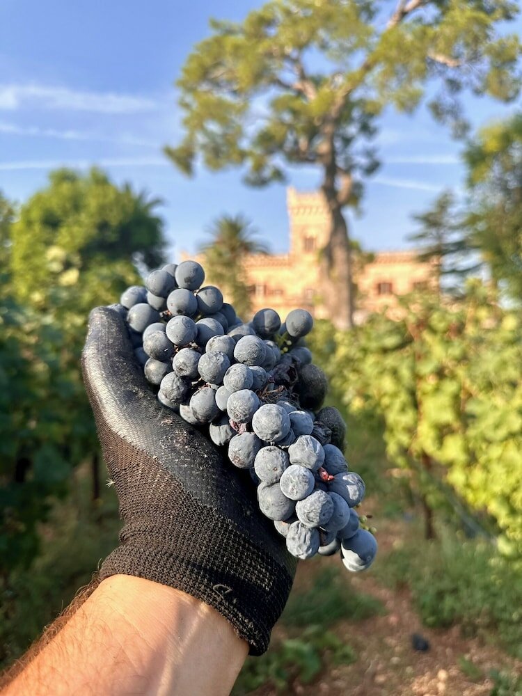 Фото Masseria Salamina