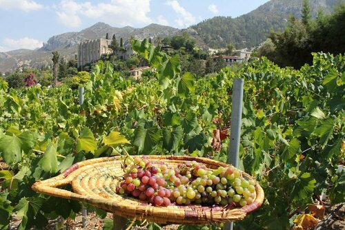 Гостиница Bellapais Gardens в Кирении