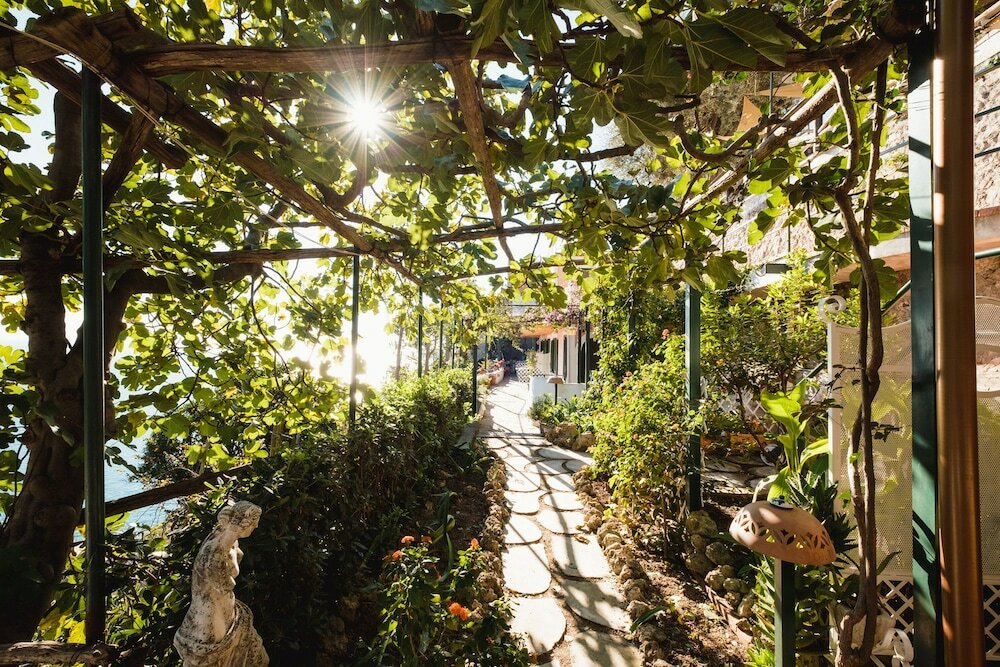 Фото Orto Paradiso