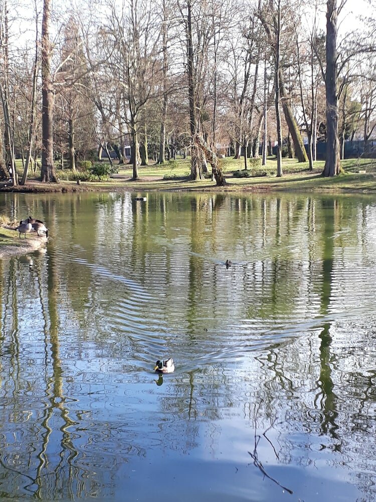 Фото Hotel Vauban