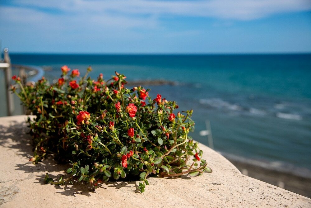 Фото Smy Aran Blu Roma Mare