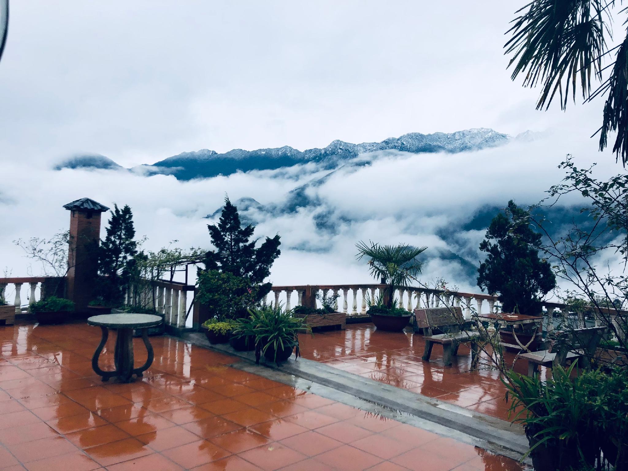 Фото Cat Cat View