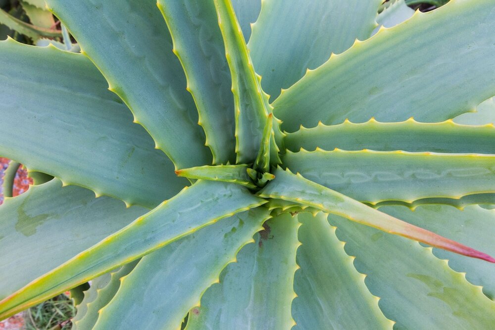 Фото Little Rock Guest House