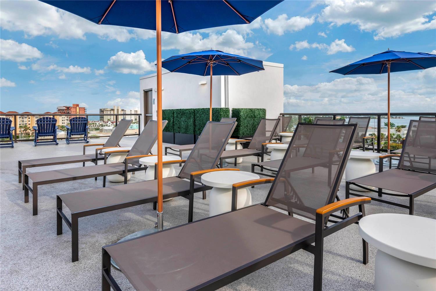 Фото Cambria Hotel St Petersburg-Madeira Beach Marina